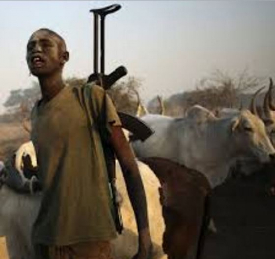 Herdsmen invade Southern Kaduna, kill nine in fresh attack
