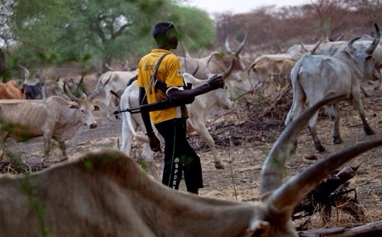 Three farmers reportedly killed in Ondo forest by herdsmen
