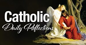 Catholic Daily Gospel Reflections 17 October 2023